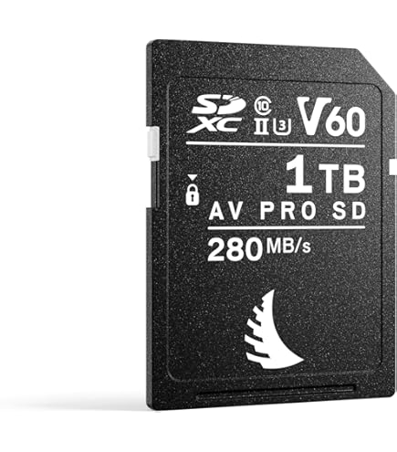 Amazon.com: Angelbird SD Card AV PRO UHS-II 128 GB V90 : Electronics